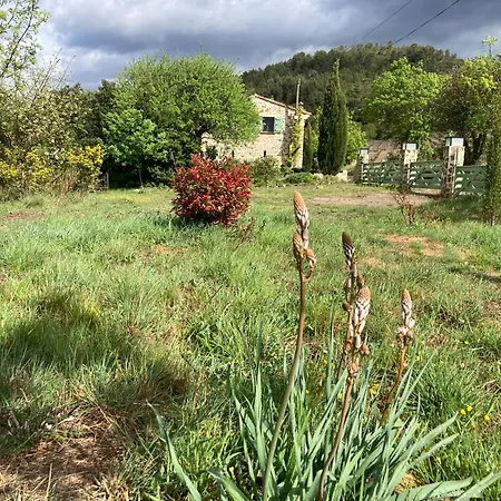 Bed & Breakfast Bergerie Balbonne Durban-Corbieres